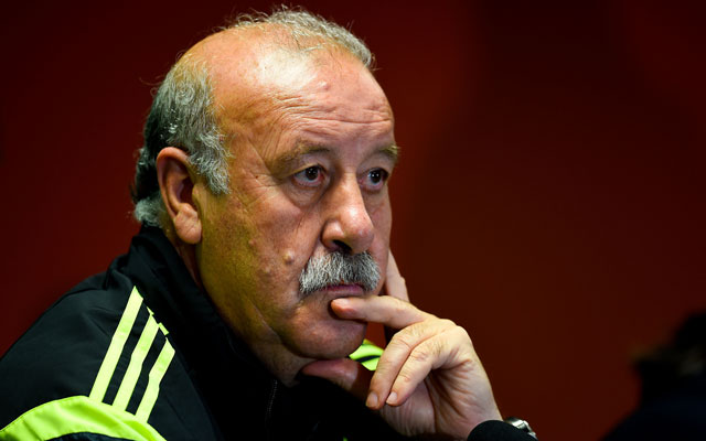 Del Bosque-n múlik, akarja e folytatni a munkát a spanyol válogatott élén / AFP 